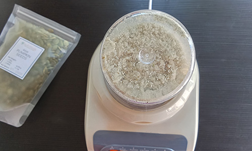 Eliminate Parasites with Pumpking Seeds - step 1