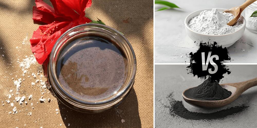 Diatomaceous Earth VS Charcoal Powder