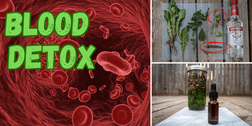 DIY Blood Detox Tincture