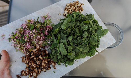 DIY Blood Detox Step 1