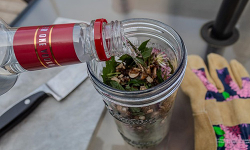 DIY Blood Detox Step 2