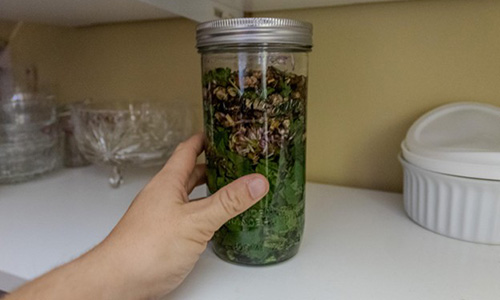 DIY Blood Detox Step 3