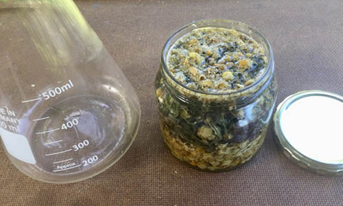 Deep Sleep Elixir - step 1