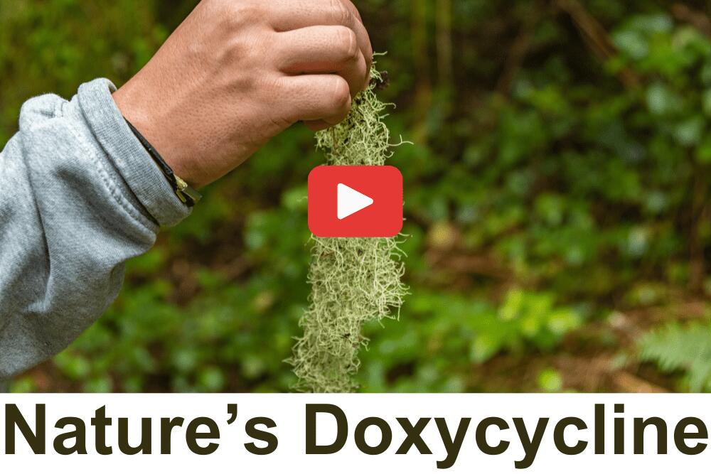 Nature’s Doxycycline