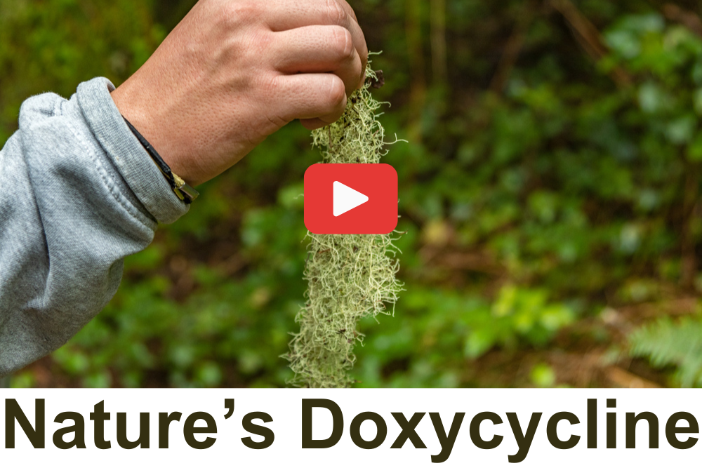 Nature’s Doxycycline