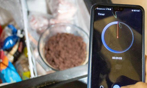 Weeds That Improve Gut Health - step 4