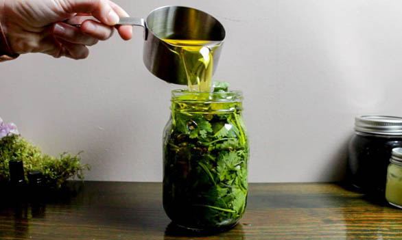 02 cilantro oil making of