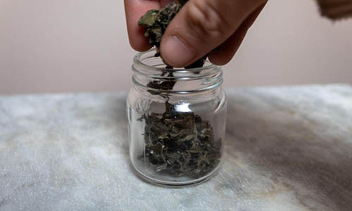 03 Storing Oregano in small jar