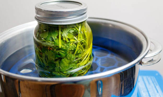 03 cilantro oil boil it