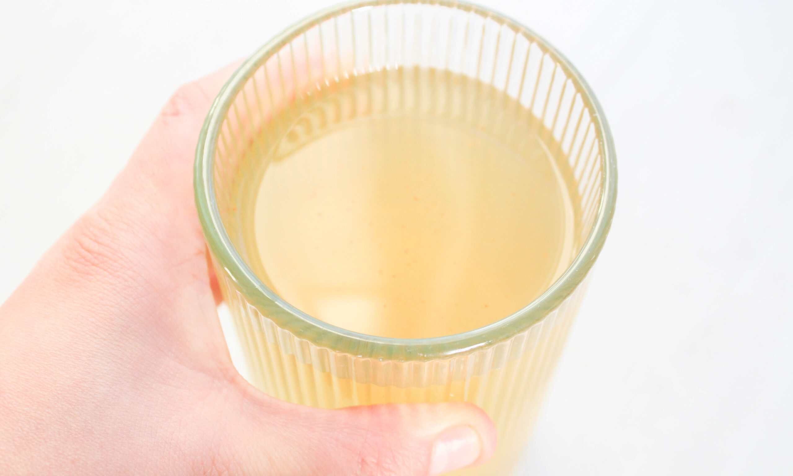 05 how to use the visceral fat remedy