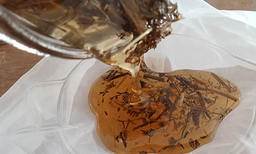 5 strain clover honey