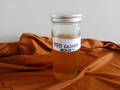 6 red clover honey recipe