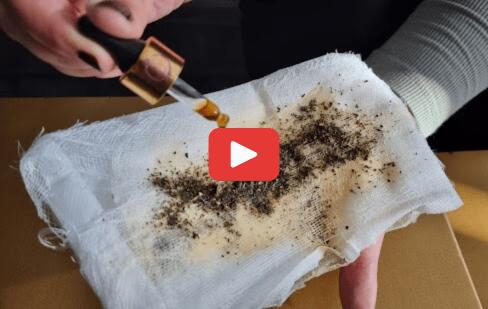 Fever Sponge TLRA