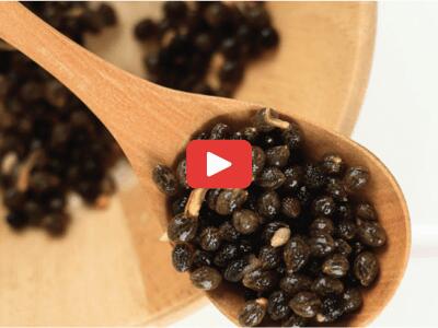 Herbal Parasite Flush FHA