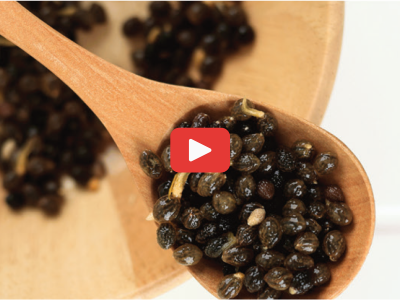 Herbal Parasite Flush FHA