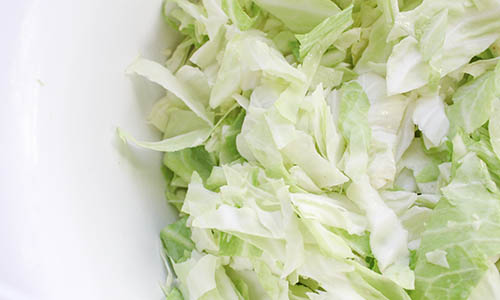 cabbage in bowl
