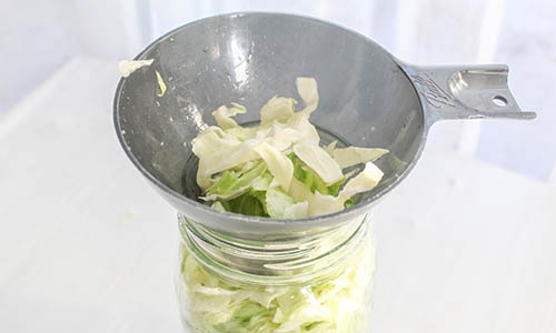 cabbage in jar