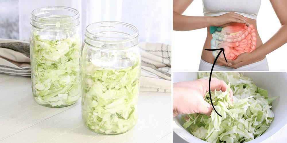 gut health featured image