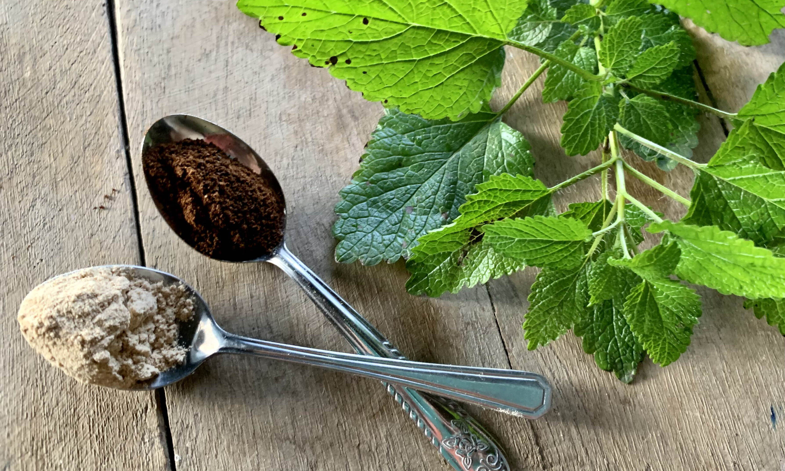 01 anxiety tincture ingredients