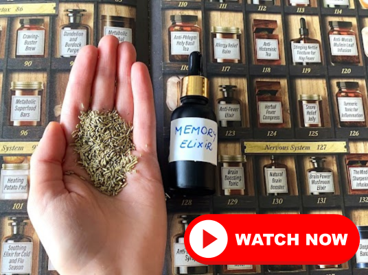 Memory Elixir Watch now