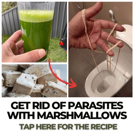 Get rid of parasites with marshmallows