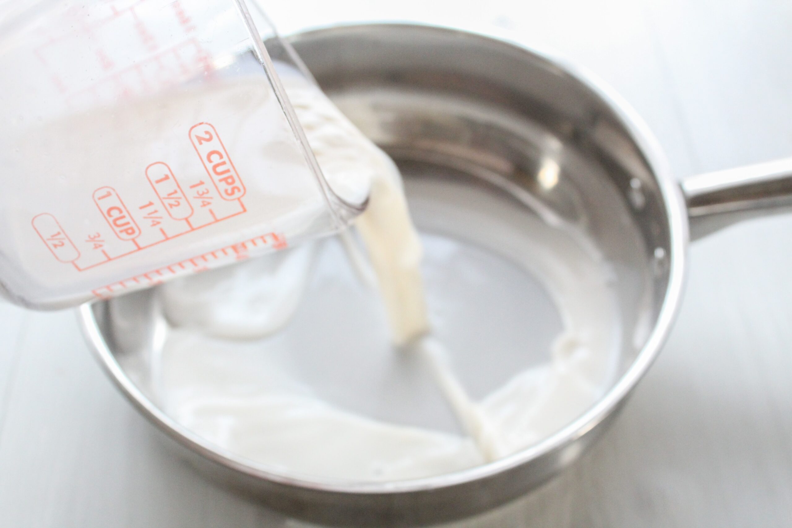 Reishi Mushroom Step One