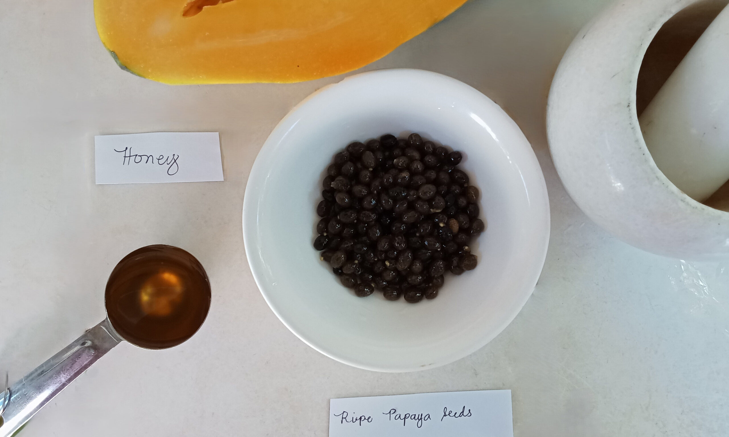 01 ingredients papaya seeds anti parasitic