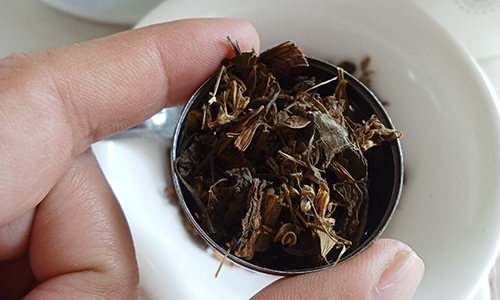02 red clover for menpause making tea