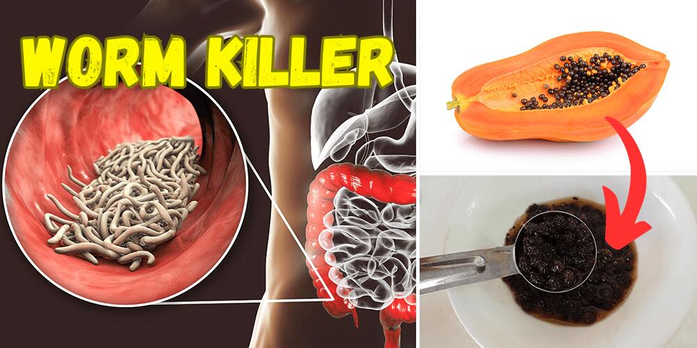 10 plants with antiparasitic effects featured image