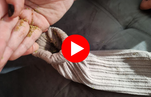 Antifungal herbal powder TLRA play button