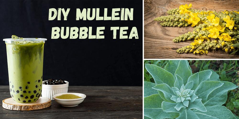 DIY Mullein Bubble Tea secret mullein tea benefits