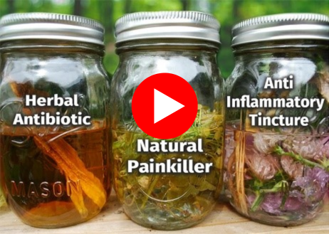 TLRA Remedies Play Button