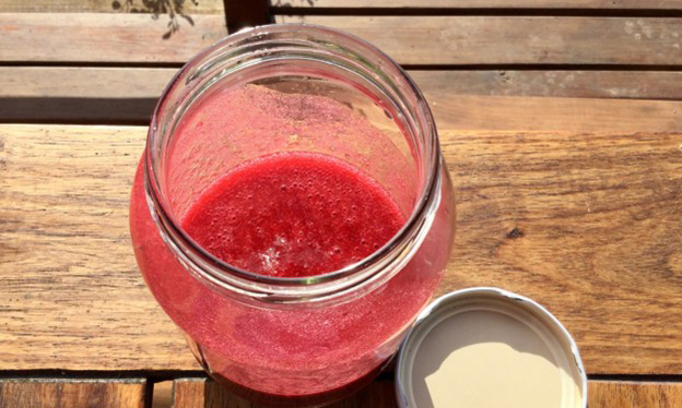 01 sea moss recipe health bomb already done