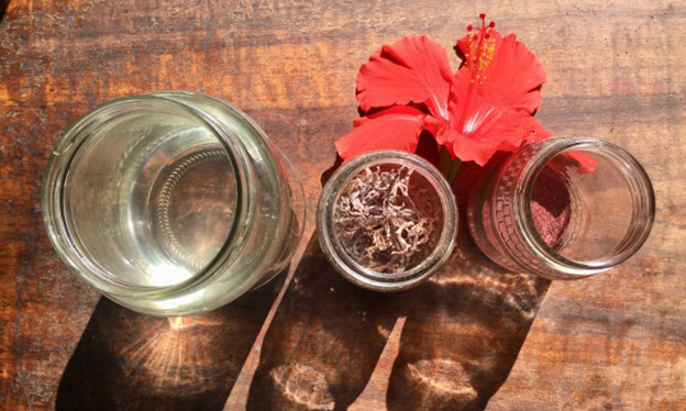 02 sea moss health bomb recipe ingredients