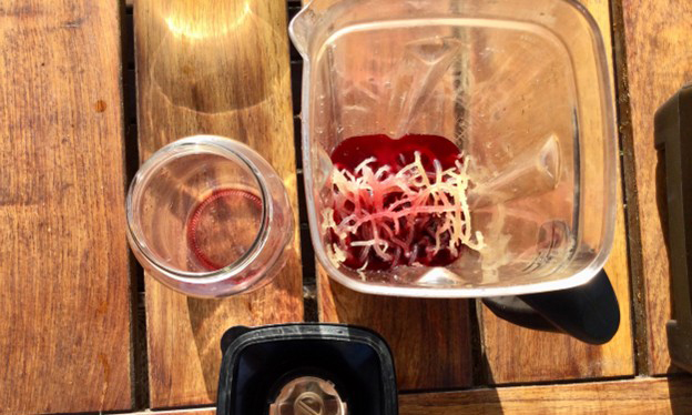 03 sea moss health bomb making of recipe