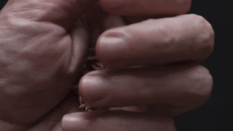 Parasites in hand gif