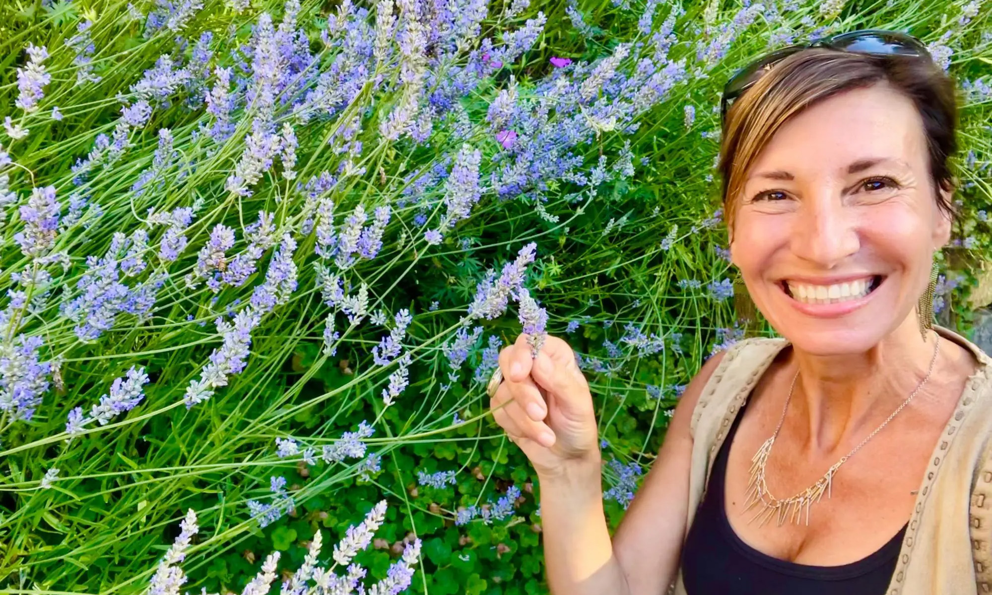 Nicole-Apelian-lavender-bush copy