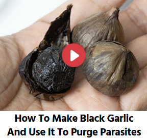 black garlic