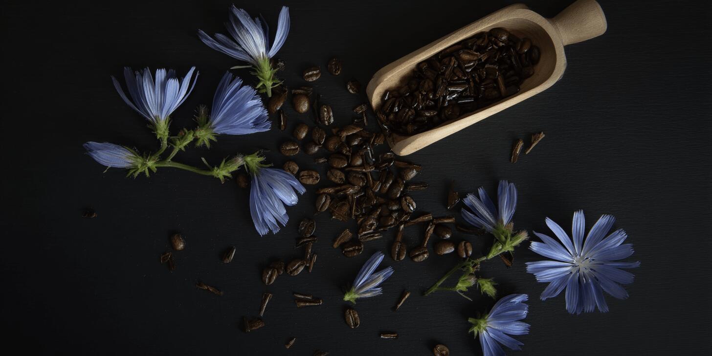 chicory root coffee