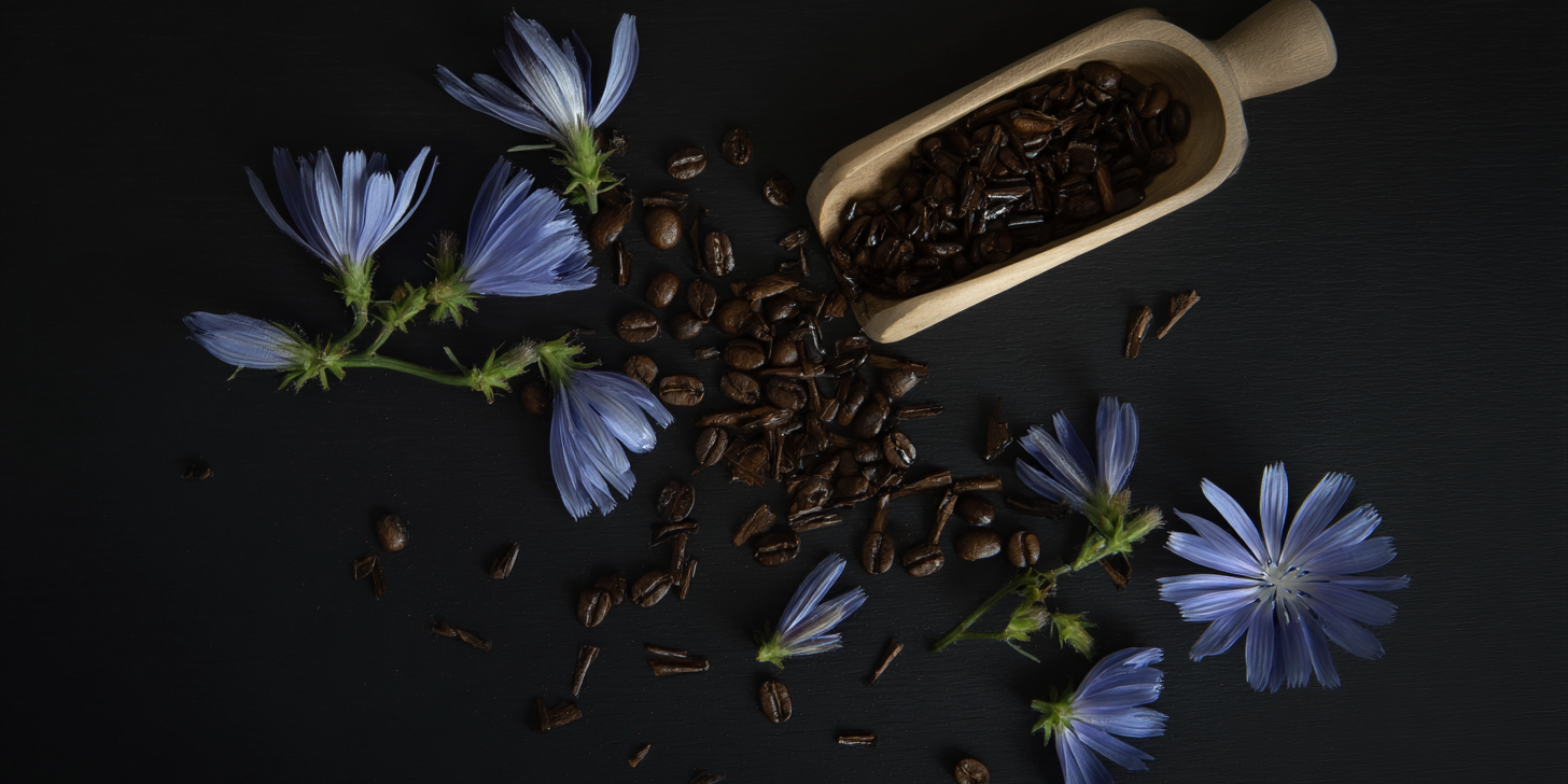 chicory root coffee