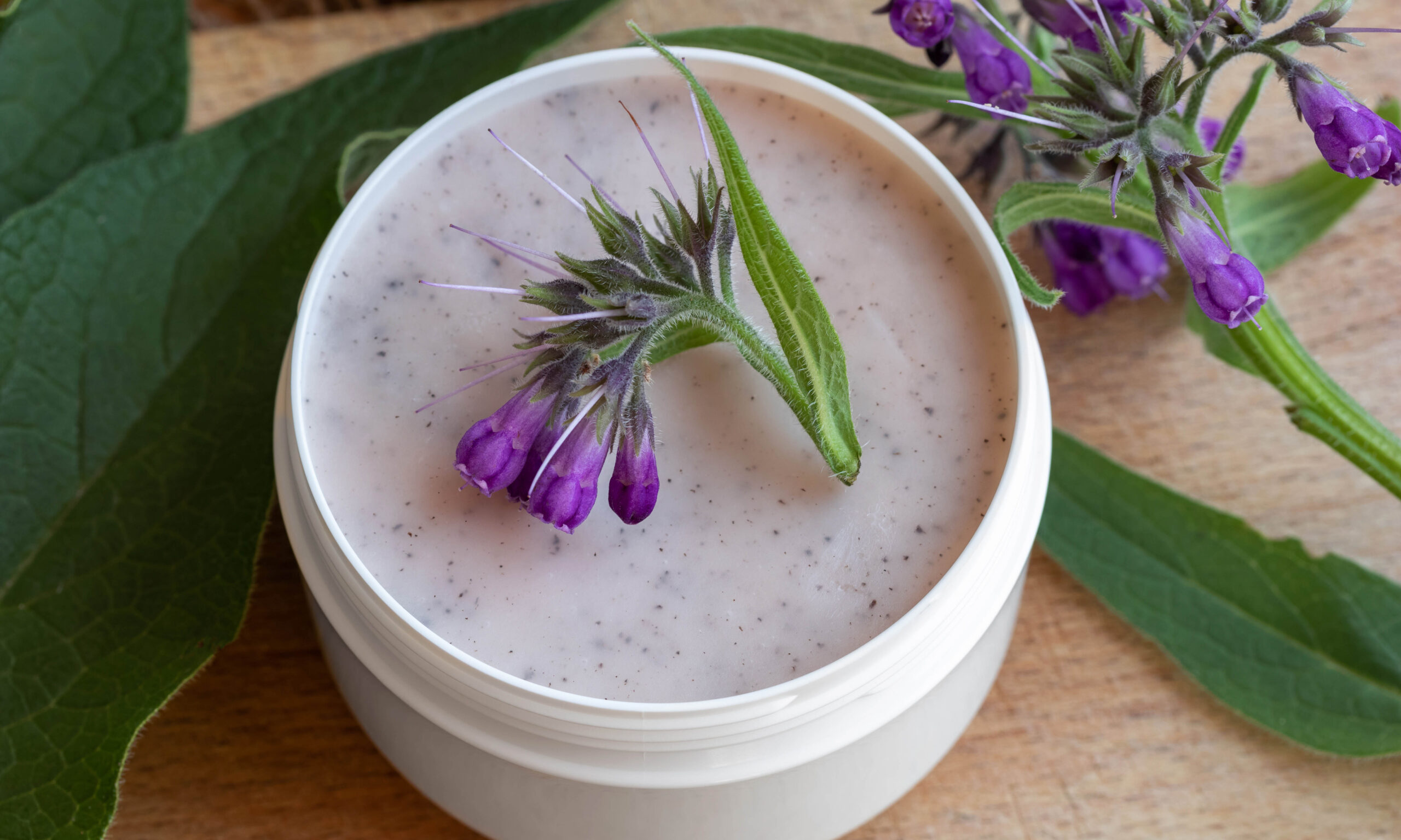 A jar of homemade comfrey root ointment with fresh blooming symphytum officinale plant