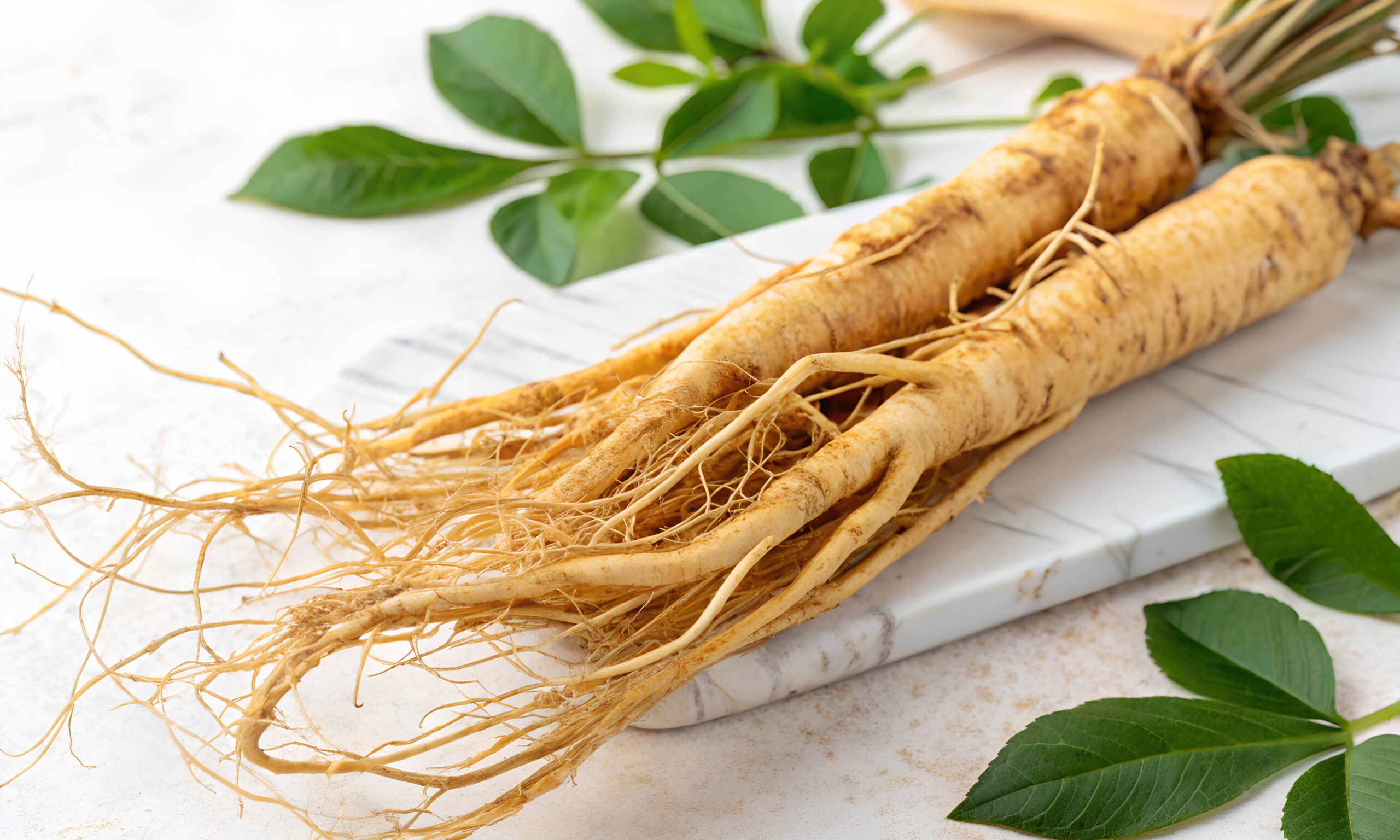 bunch of ginseng on white plate