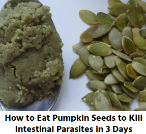 pumpkin seeds