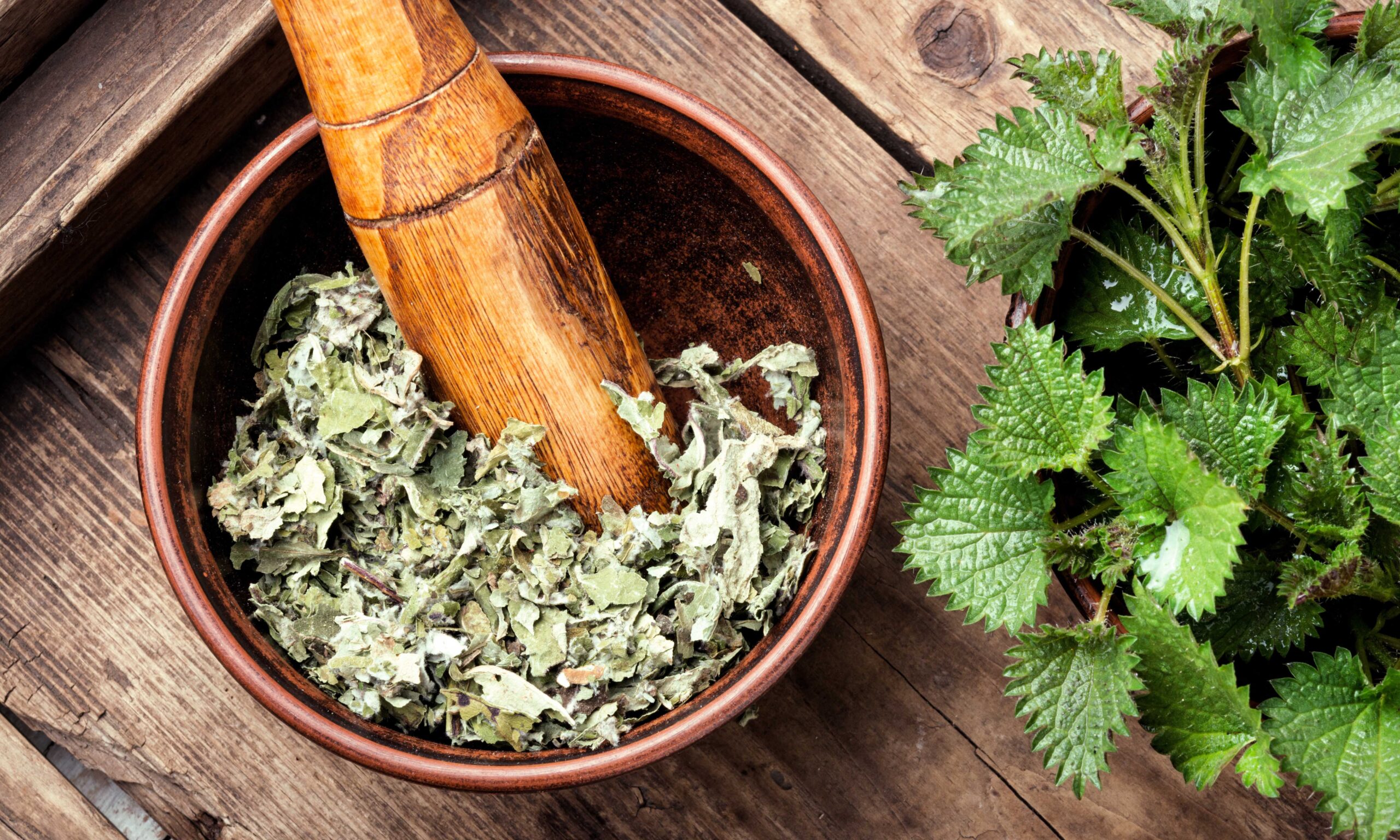 Fresh stinging nettle leaves on wooden table