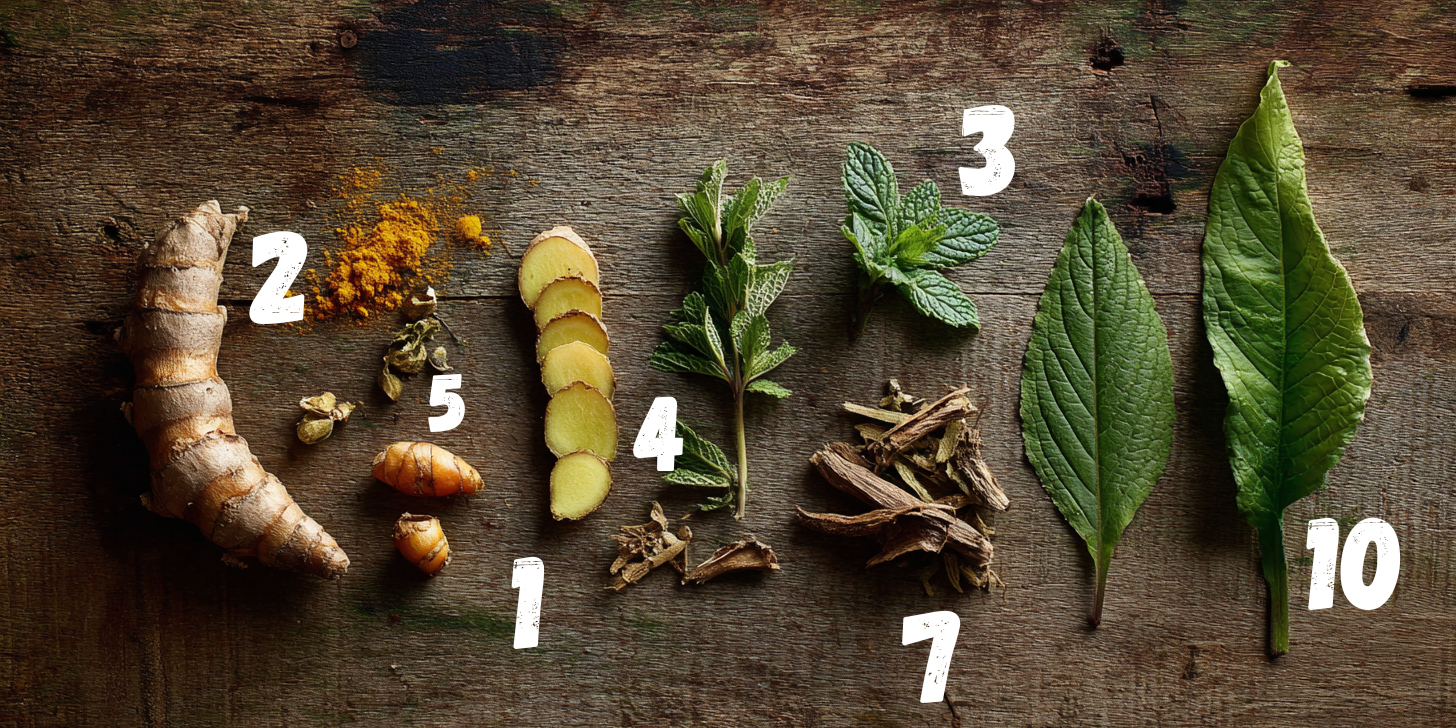 10 Natural Painkillers