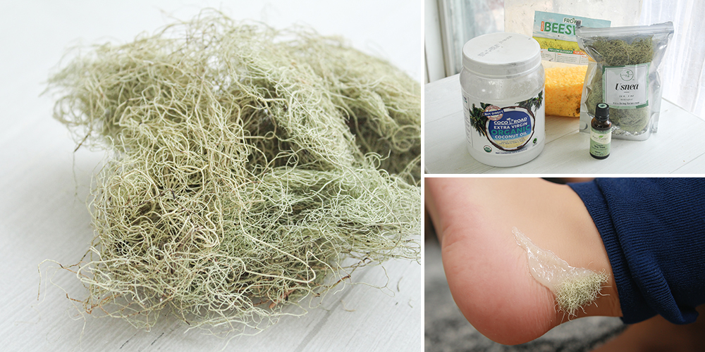 Usnea In Socks Featured Image