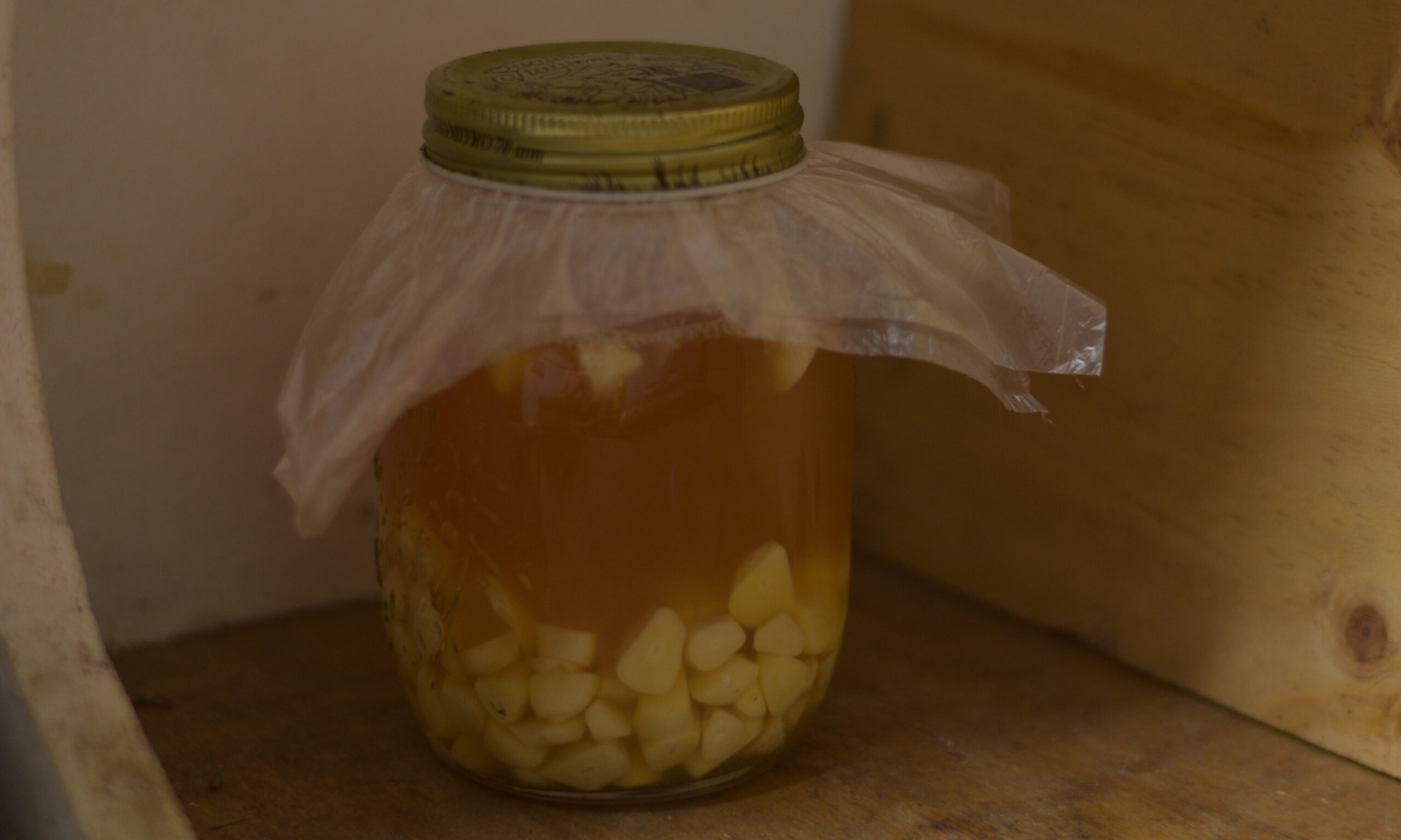 Garlic ACV let the jar infuse
