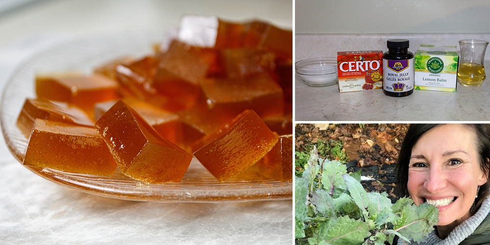 Medicinal Jelly Featured Image