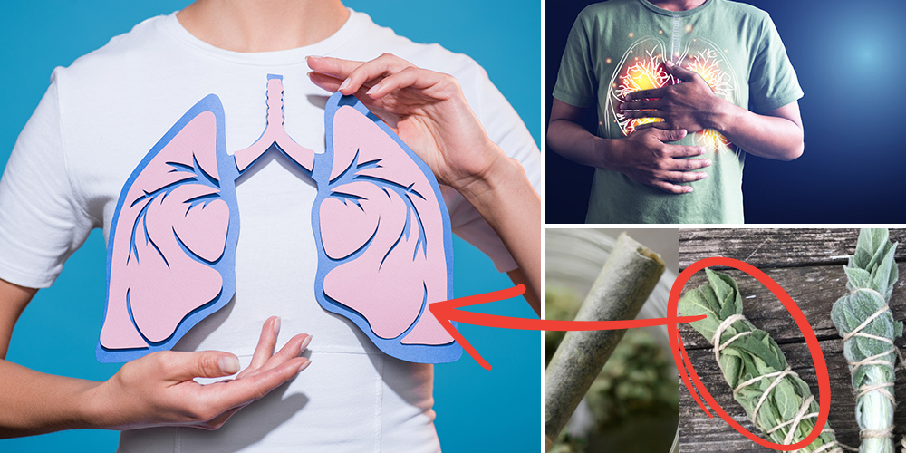 #1 Herb That Fights Asthma