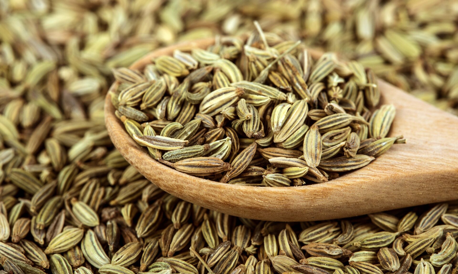 close up fennel seed in wooden spoon